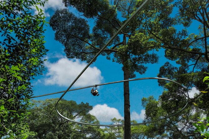 Jungle Flight Zipline Roller Coaster - The guides, safety habits, and the fun factor