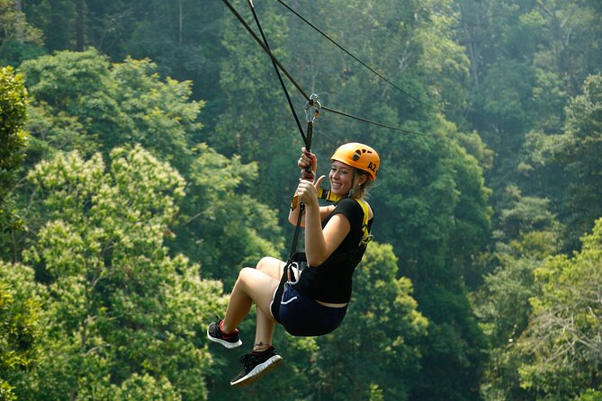 Jungle Flight Zipline Roller Coaster - Who this suits best, and who should think twice