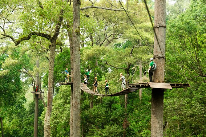 Jungle Flight Zipline Roller Coaster - The zipline circuit: roughly 15 rides and the 800m long line