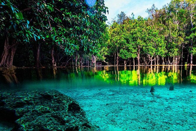 Jungle Tour to Emerald Pool, Krabi Hot Spring and Tiger Cave Temple - Price and Logistics: Is This $50.14 Day Trip Worth It?