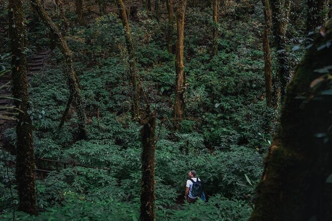 Jungle Wisdom Survival Trek - Day 2 in Mae Wang National Park: Village Life and Bamboo Rafting
