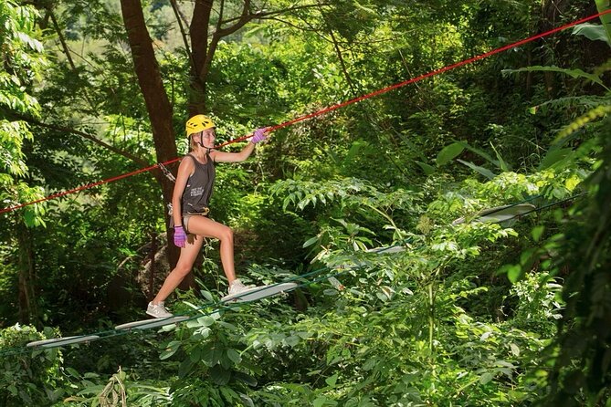 Jungle Xtreme Adventures and Zipline - Price and Value: What You Pay for in One to Three Hours