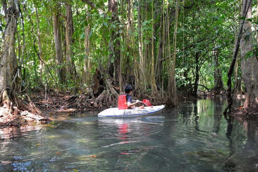 Kayaking and swiming klongrood - The spring-water lagoon: swim, relax, and rinse before you go