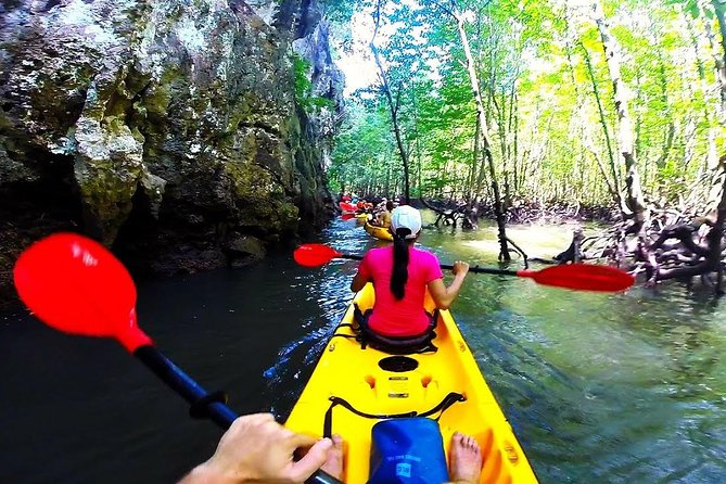 Kayaking in Ao Thalane - Discover the Mangrove life - Should you book this Ao Thalane mangrove life kayak tour?