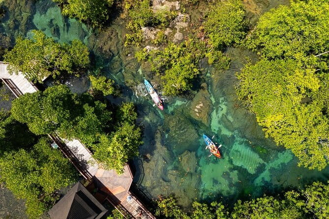 Kayaking Klongroot-Klongnamsai - Price and value: why this feels like a bargain in Krabi
