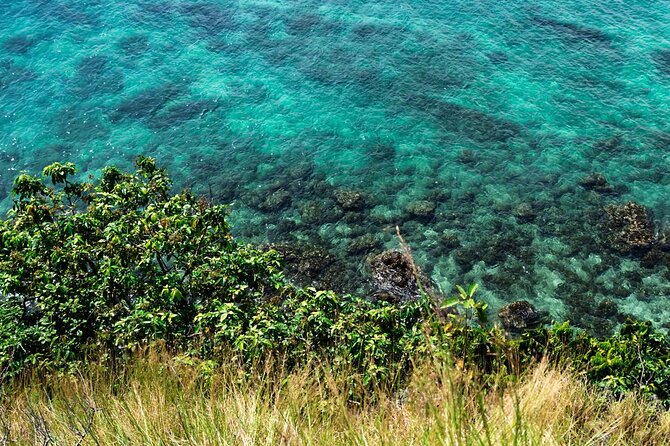 Khai Island Speedboat: Island Hopper Trip - Khai Nui Snorkeling: Coral Gardens and the Fish You Came For