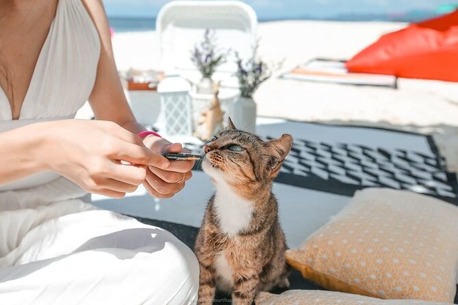 Khai Island Speedboat: Island Hopper Trip - Khai Nai Island: Feeding Cats, Snapping Photos, Then Cooling Off