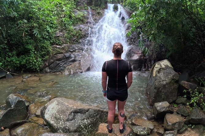 Khao Lak Eco-Safari: Elephants, Tsunami Museum, and Turtles - Price and What Makes $122.36 Feel Like Good Value