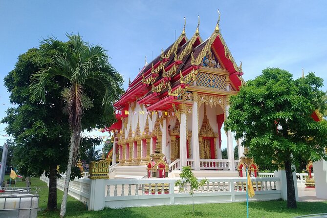 Khao Lak Eco-Safari: Elephants, Tsunami Museum, and Turtles - Guide Quality: Tony and Spider-Man, Plus One Real Language Warning