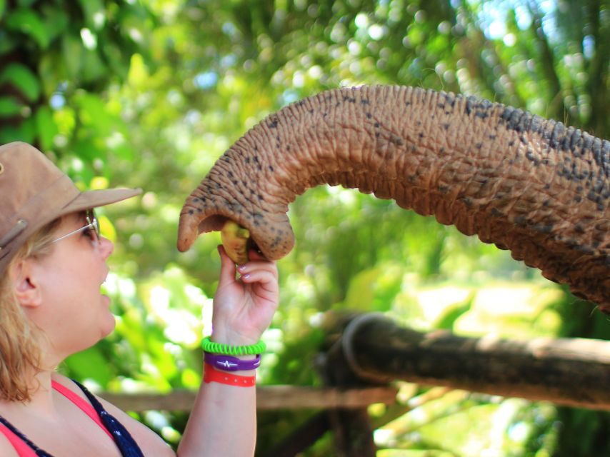 Khao Lak: Elephant Bathing and Turtle Center Visit - What to bring so you do not hate the experience