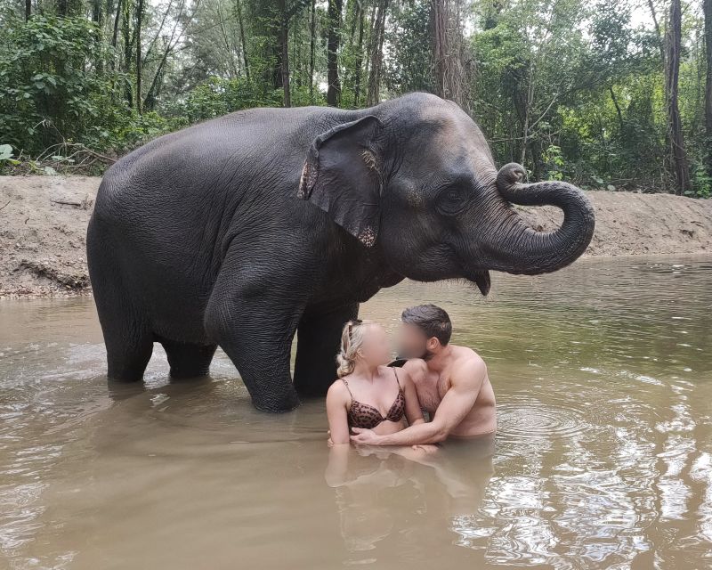 Khao Lak: Elephant Bathing and Turtle Center Visit - What it includes (and what you should budget for)