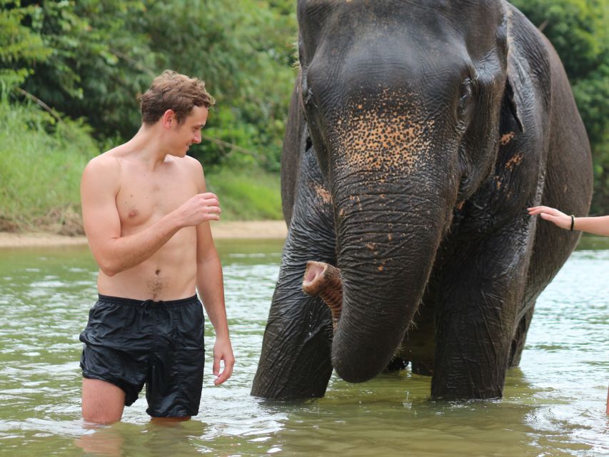 Khao Lak: Elephant Bathing and Turtle Center Visit - The Khao Lak timing and hotel pickup that makes it workable