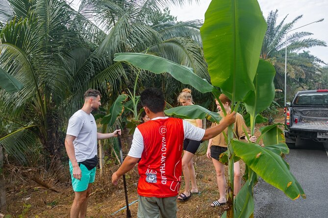 Khao Lak Elephant Sanctuary Full Day Small Group Tour - Sai Rung Waterfall in 30 Minutes: A Worthwhile Detour With a Built-In Catch