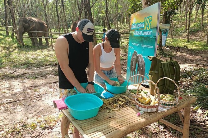 Khao Lak Elephant Sanctuary Tour with Waterfall and Lunch - The herbal vitamin ball workshop: learning Thai traditional medicine through making