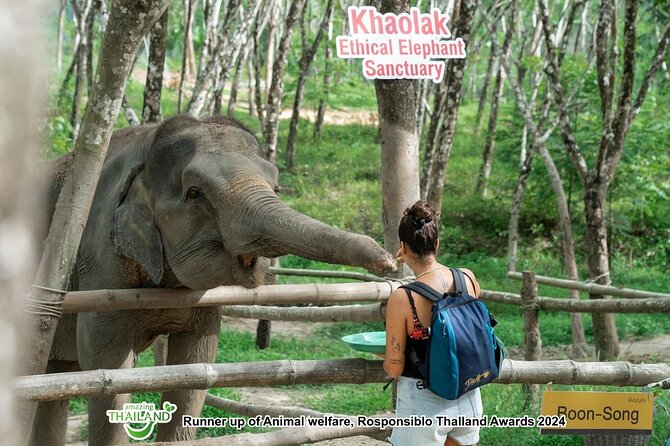 Khao Lak Ethical Elephant Sanctuary Conservation Experience - Quick hits: what makes this Khao Lak elephant visit special