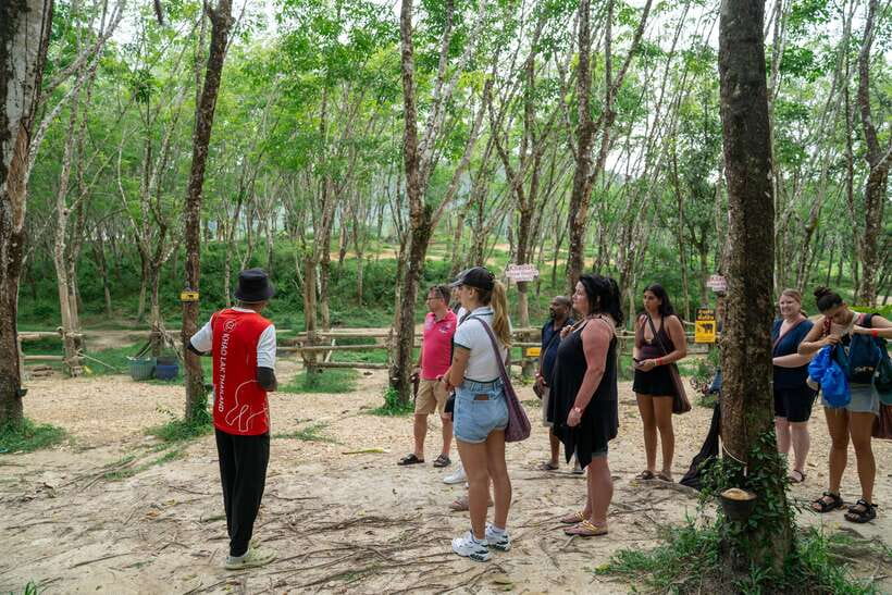 Khao Lak Guided Nature Walk & Elephant Experience - What the guide teaches on the trail: flora, fauna, and ecosystem sense