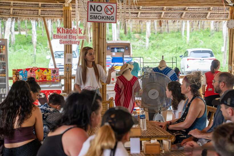 Khao Lak Guided Nature Walk & Elephant Experience - The 90-minute rhythm: how the day flows without feeling rushed