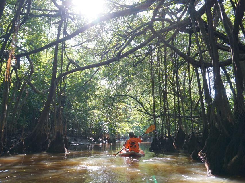 Khao Lak: Little Amazon Canoe Ride & Tam Nang Waterfall Tour - Should you book the Khao Lak Little Amazon and Tam Nang Waterfall tour?