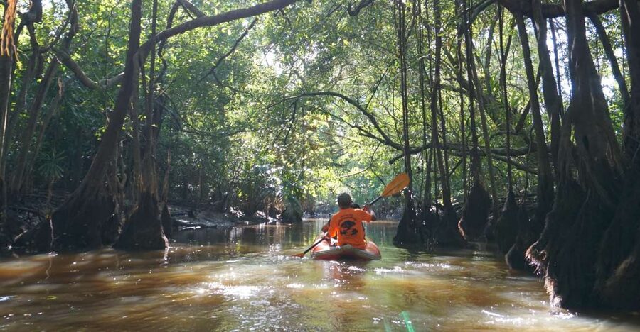 Khao Lak: Little Amazon Canoe Ride & Tam Nang Waterfall Tour - Khao Lak pickup to the jungle start