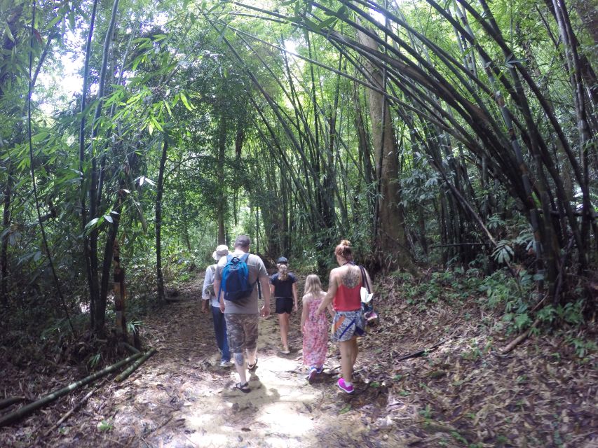 Khao Lak: Little Amazon Canoe Ride & Tam Nang Waterfall Tour - Swimming with fish: fun, but bring patience for the water