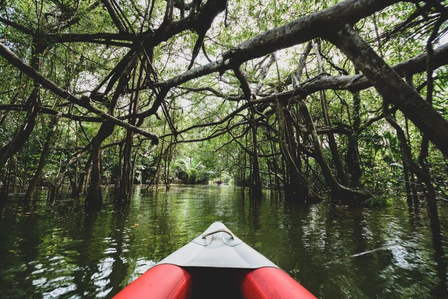Khao Lak: Little Amazon Canoe Ride & Tam Nang Waterfall Tour - Guides in English, with names you might actually hear