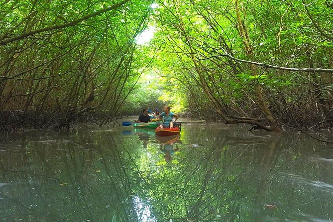 Khao Lak Mangrove Explorers - Key highlights you will feel right away