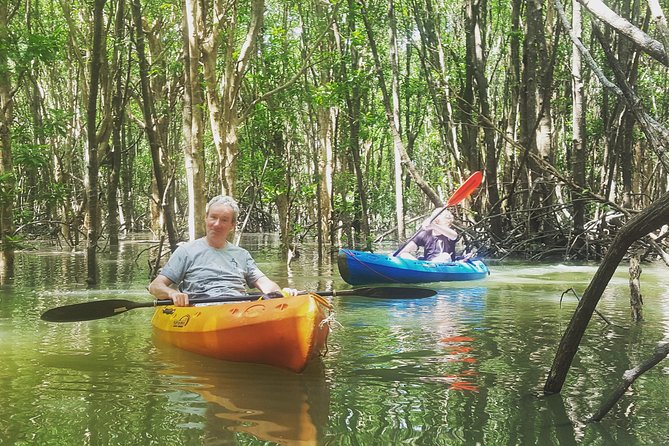 Khao Lak Mangrove Explorers - Price and Time: Is It Worth $87.99?
