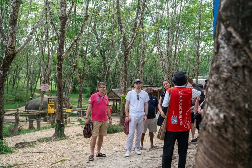 Khao Lak’s Best: Elephant Sanctuary,Rubber Tapping&Waterfall - Price and value: does $64 make sense for 90 minutes?