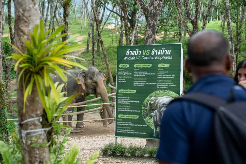 Khao Lak’s Best: Elephant Sanctuary,Rubber Tapping&Waterfall - Who this tour suits best