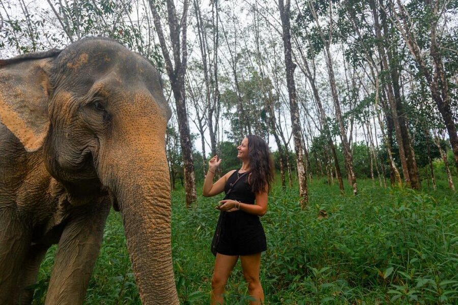 Khao Lak: Waterfall,Sea Turtle,Elephant Care,Meal & Transfer - Entering the Khao Lak Elephant Sanctuary the right way