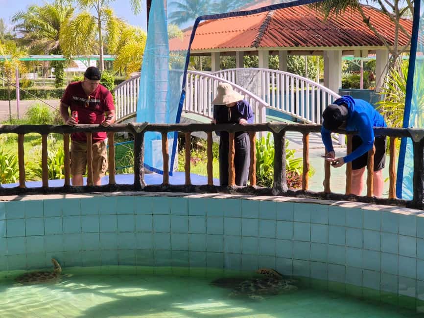 Khao Lak: Waterfall,Sea Turtle,Elephant Care,Meal & Transfer - Sai Rung Waterfall swim time at Rainbow Waterfall