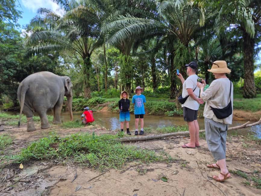 Khao Lak: Waterfall,Sea Turtle,Elephant Care,Meal & Transfer - The herbal vitamin balls, and the elephant-care lesson that clicks