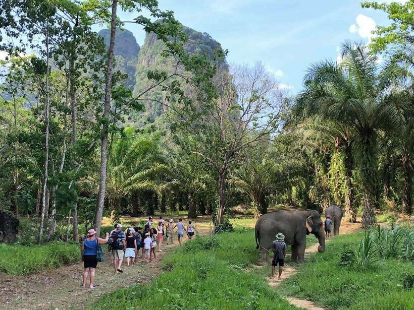 Khao Sok: Ethical Elephant Experience & Nature Walk - FAQ