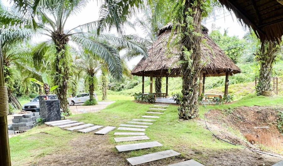 Khao Sok: Ethical Elephant Sanctuary Visit - Who Should Book This (and Who Should Skip It)