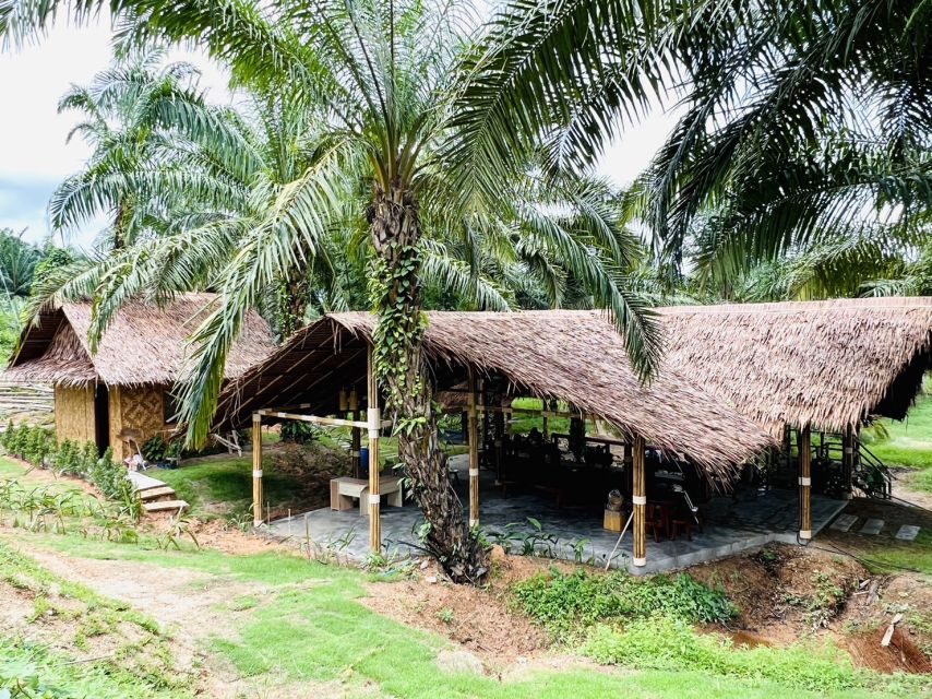 Khao Sok: Ethical Elephant Sanctuary Visit - The Guide and Owner Talk: Behavior, Conservation, and Sustainability
