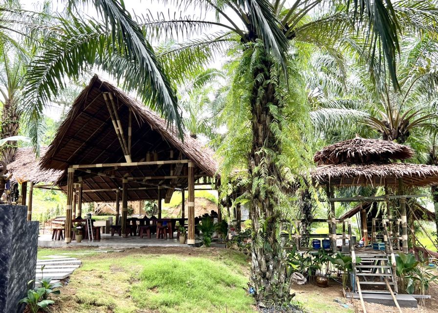 Khao Sok: Ethical Elephant Sanctuary Visit - Price and Value: Why $41 Can Feel Fair Here