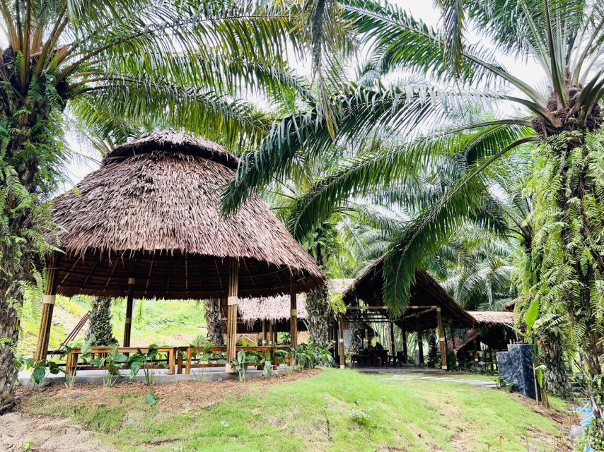 Khao Sok: Ethical Elephant Sanctuary Visit - Food Prep With Orchard and Community Forest Ingredients