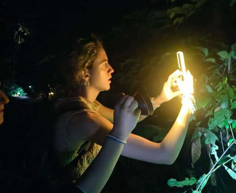Khao Sok: Private Night Safari Adventure w/ Hotel Transfer - Private night safari timing: how a 150-minute outing actually feels