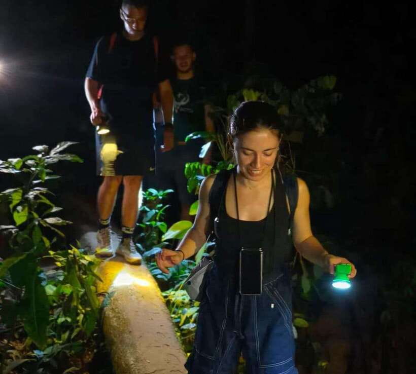 Khao Sok: Private Night Safari Adventure w/ Hotel Transfer - Night walk basics in Khao Sok National Park: what changes after sunset