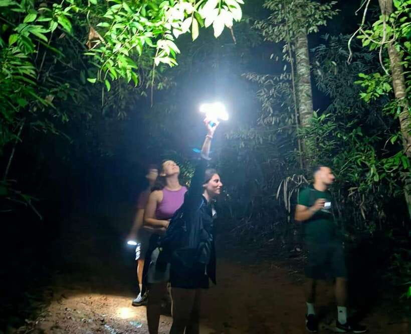 Khao Sok: Private Night Safari Adventure w/ Hotel Transfer - Wildlife spotting odds: insects, reptiles, and the big moments