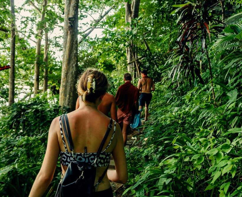 Khao Sok: Private Waterfalls and Wildlife Half-Day Trek - Where This Half-Day Trek Shines in Khao Sok National Park