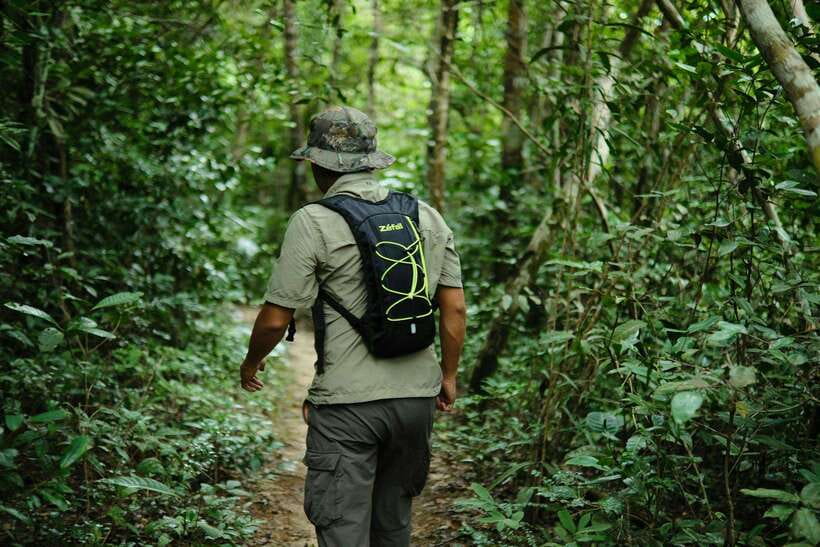 Khao Sok: Private Waterfalls and Wildlife Half-Day Trek - Pace, Terrain, and Who This Trek Fits Best
