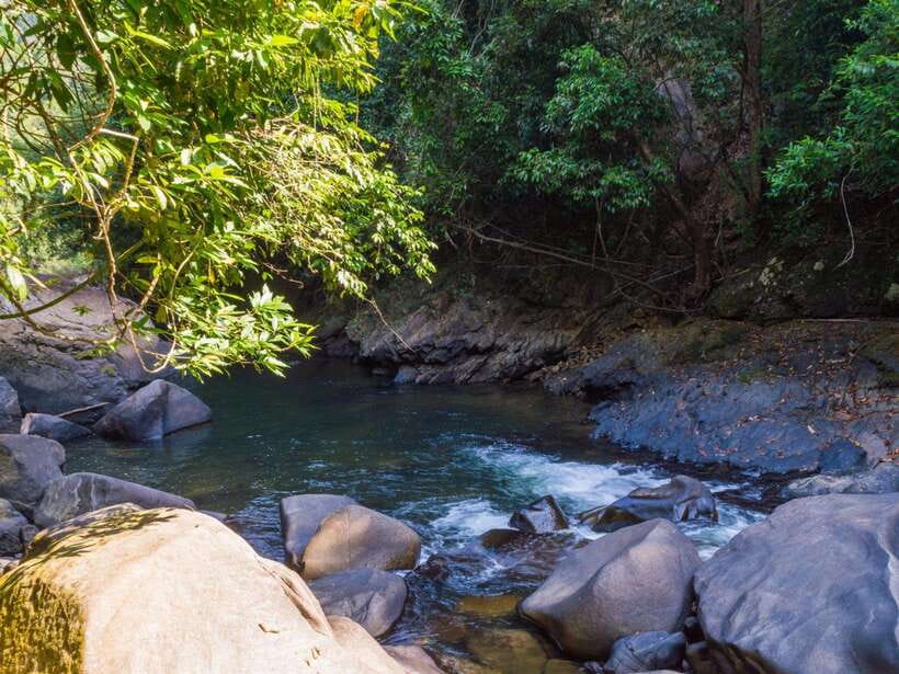 Khao Sok: Private Waterfalls and Wildlife Half-Day Trek - Price and Value: Why $48 Can Make Sense Here