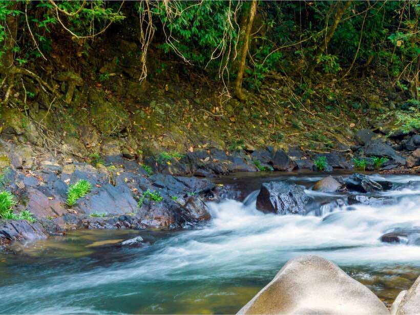 Khao Sok: Private Waterfalls and Wildlife Half-Day Trek - How to Get the Most From Your Guide Without Spoiling the Vibe