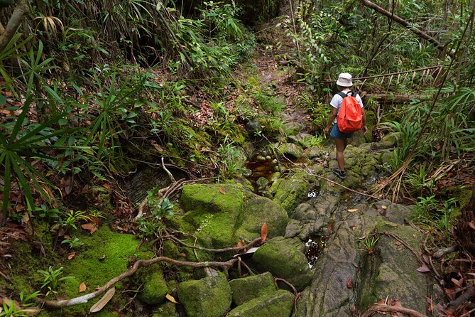 Khao Sok Rainforest | Hiking & Bamboo Rafting - Key Highlights You Will Actually Feel