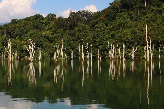 Khao Sok Wildlife 2 Days - Food and comfort level: included meals, basic amenities, and what to pack