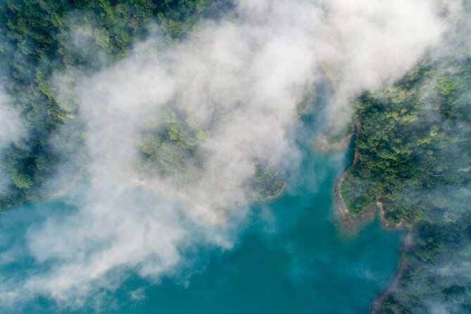 Khao Sok Wildlife 2 Days - Wildlife expectations: how to think about spotting elephants, gaur, and gibbons