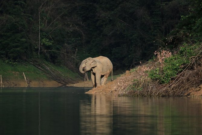 Khao Sok Wildlife 2 Days - Price and value: what $114 covers, and who it’s best for