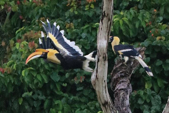 Khao Sok Wildlife 2 Days - Who should book, and who might want a gentler option