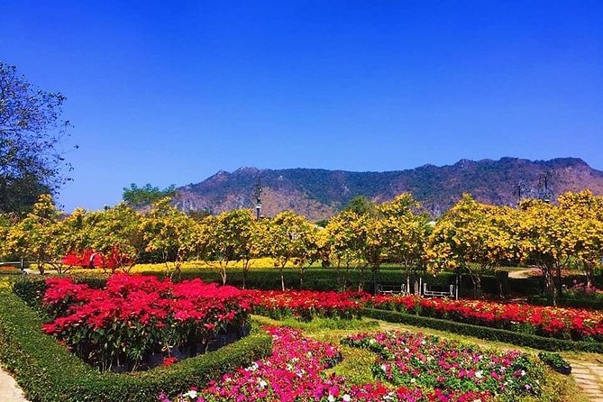 Khao Yai national Park day tour from Bangkok - Guide style and English level: how to get the most from your private day